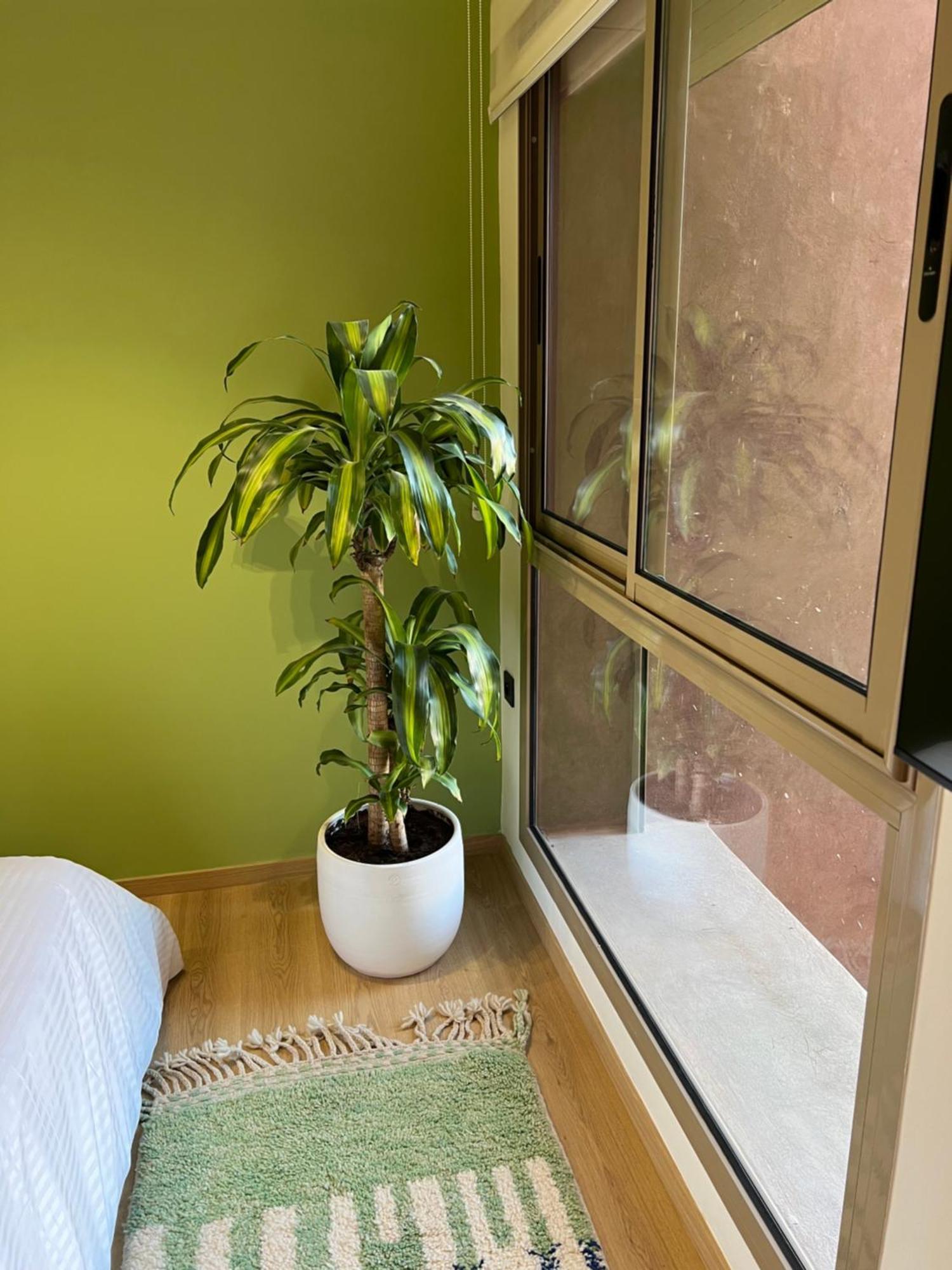 Luxe A Louer Pour Les Familles Apartment Marrakesch